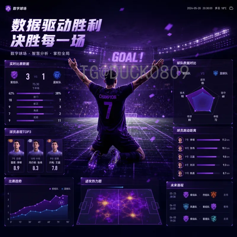 世界杯决赛：历史瞬间与永恒经典，深度解析足球盛宴